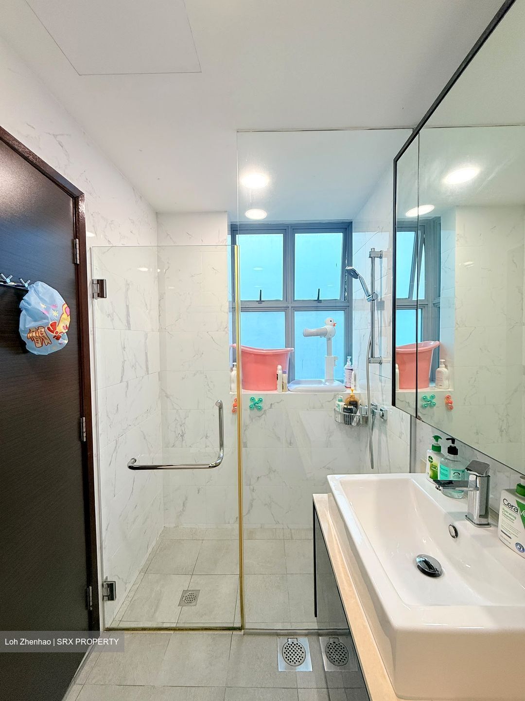 Bishan Loft (D20), Condominium #564118951